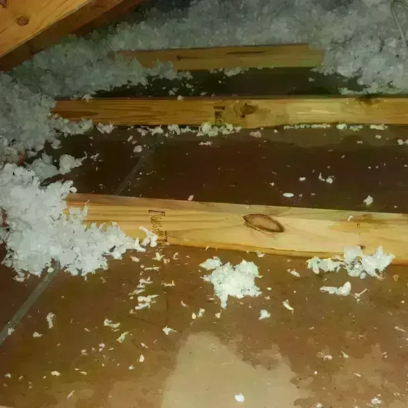 Attic Water Damage in Carbon County, UT